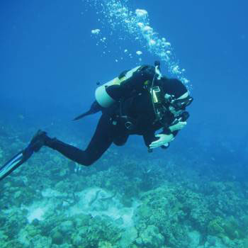 Julia scuba diving